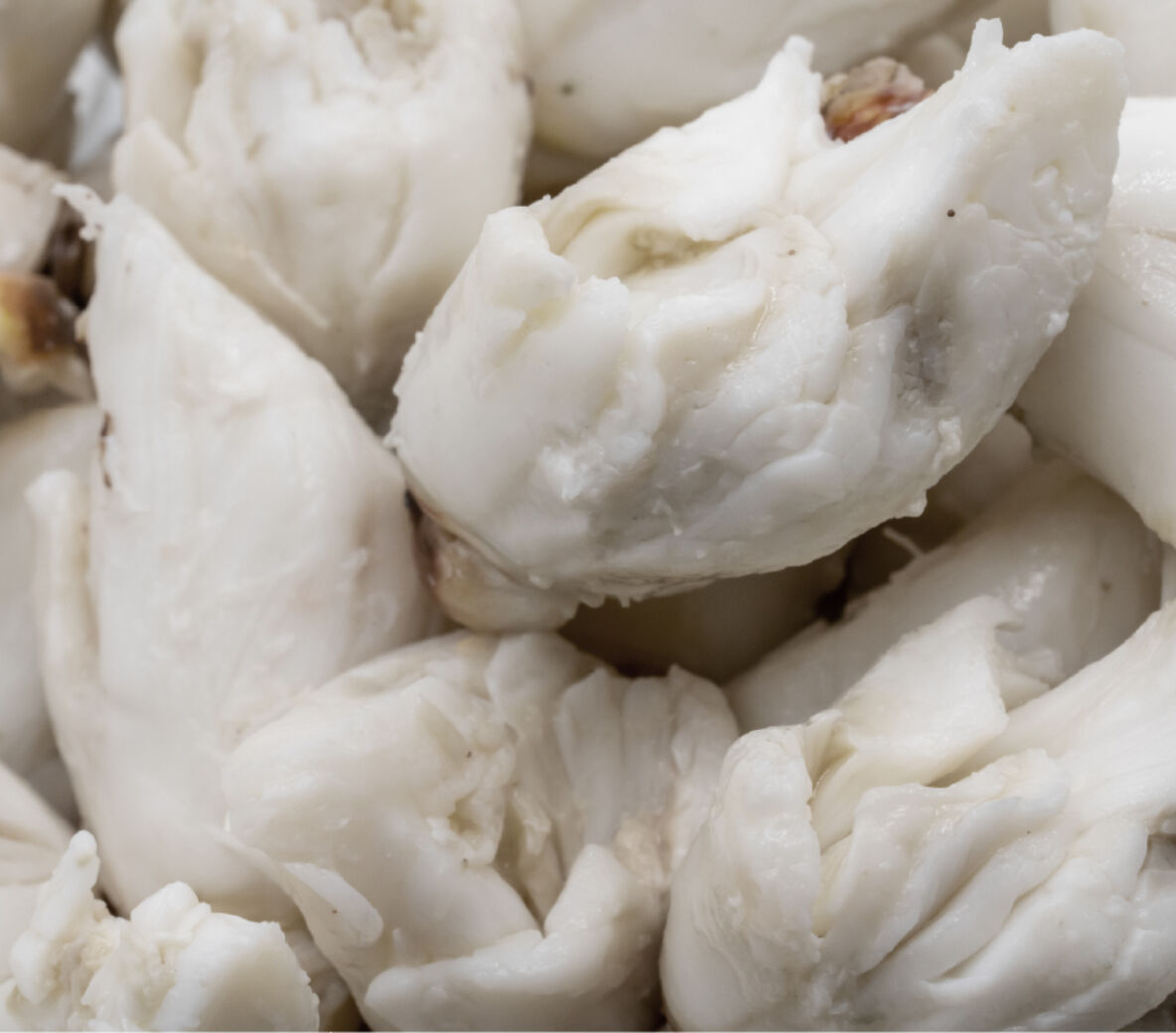 Premium crab meat
