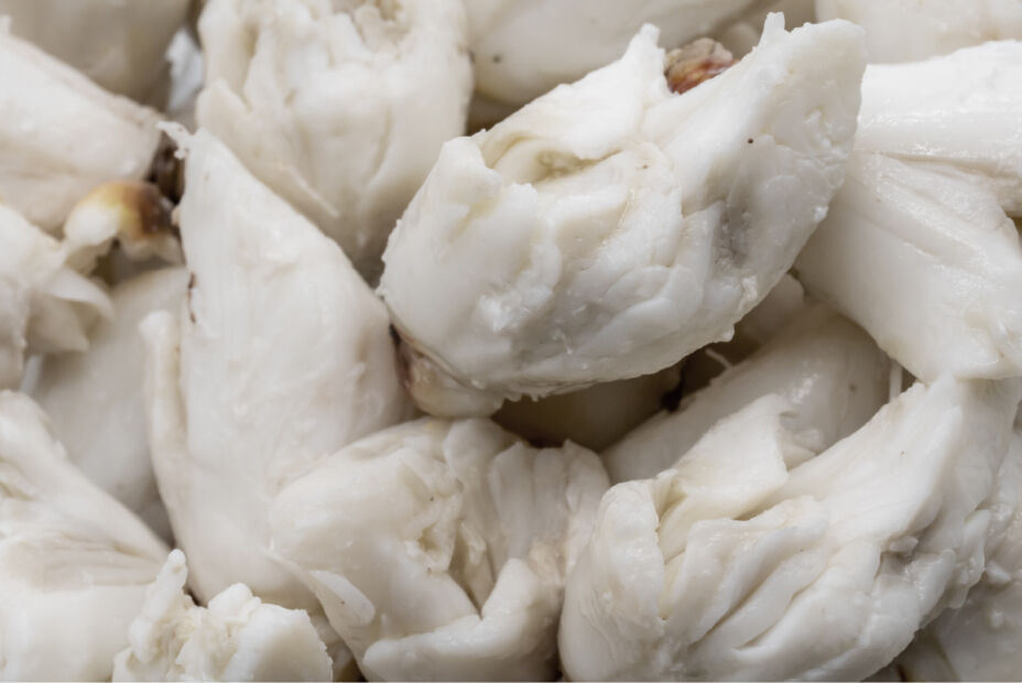 Premium crab meat